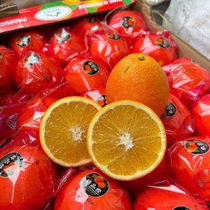 Cam Vàng Navel  – Tép Vàng Óng, Ngọt Đậm, Không Hạt