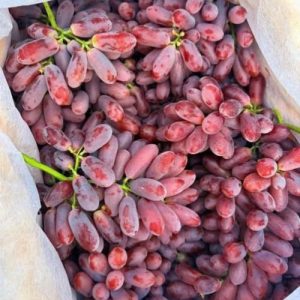 Nho Ruby (Nho Ngón Tay Đỏ) – Giòn Tan, Ngọt Lịm