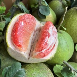 Bưởi Da Xanh (Hàng Tuyển) – Ruột Hồng, Ngọt Thanh