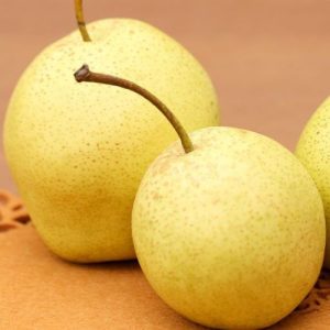 Lê đá (Lê tuyết)