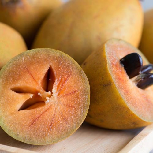 Hồng Xiêm (Sapoche) – Đặc sản được yêu thích