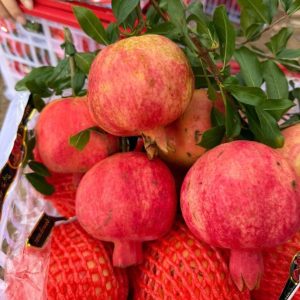 Lựu Đỏ tứ xuyên (Hạt Mềm) – Ngọt Lịm, Đẹp Da